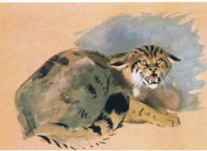 Gatto selvatico, pub. da Book Club Associates, 1972 da Archibald Thorburn